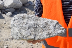Namibiaexkursion 2019
